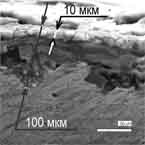 Microstructure of the crack cross-section in the rusting zone