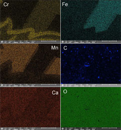 Distribution of chemical elements in the pigment layer