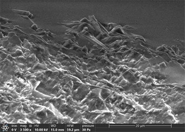 Microstructure of porcelain fracture